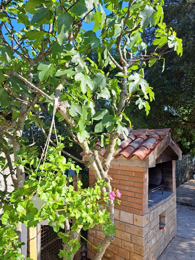 Apartman Melita Galižana Extérieur photo