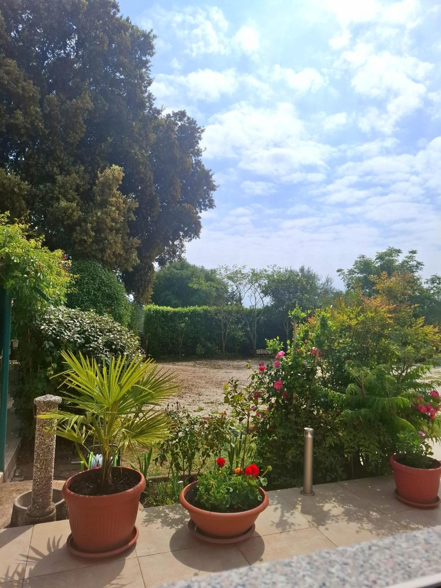 Apartman Melita Galižana Extérieur photo